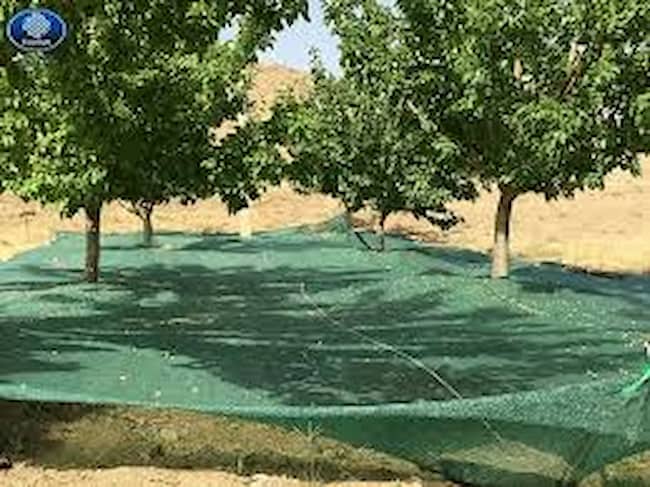 خرید توری برداشت محصول + قیمت فروش استثنایی
